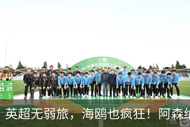 英超无弱旅，海鸥也疯狂！阿森纳3球惨败，拉亚成了远射背景板